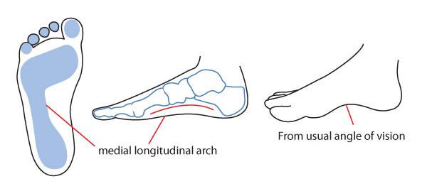 how-to-draw-human-feet-step-1e-foot-medial-arch
