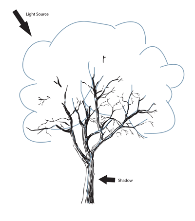 draw-a-tree-easily-how-to