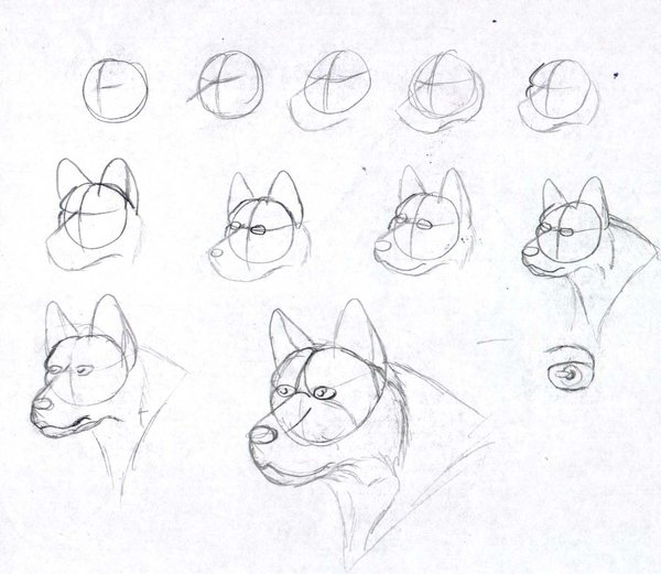 how-to-draw-a-dog-1