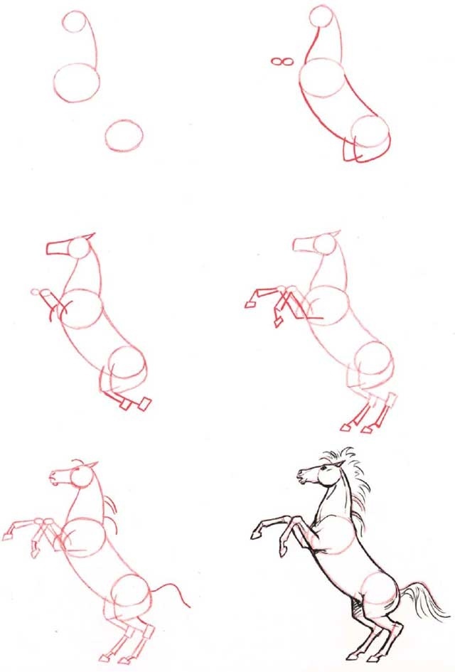 how-to-draw-a-horse-step-by-step-1
