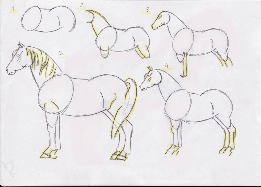 how-to-draw-a-horse-step-by-step-2