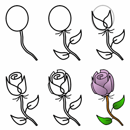 how-to-draw-a-rose-step-by-step