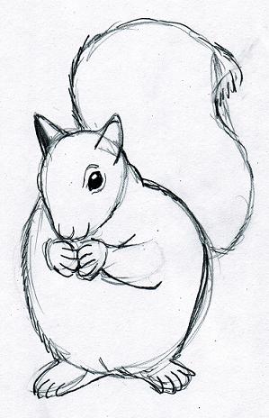 how-to-draw-animals/how-to-draw-squirrelpencillines
