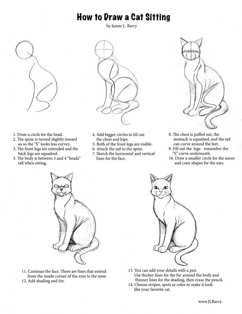 step-by-step-how-to-draw-a-cat-and-kitten-2-791x1024