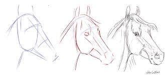 how-to-draw-a-horse-face-body-horse-step-by-step-