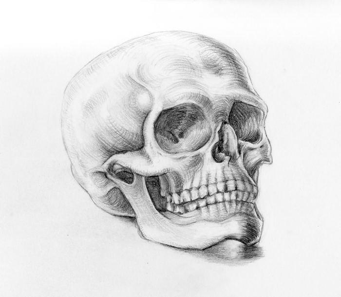How-To-Draw-a-Skull-realistic-pencil-art-1