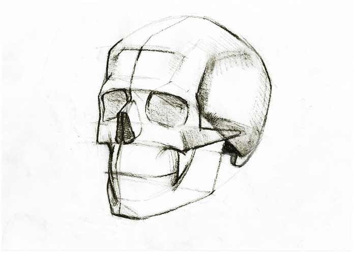 How-To-Draw-a-Skull-realistic-pencil-art-2