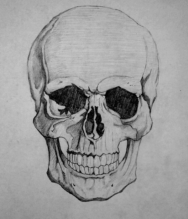 How-To-Draw-a-Skull-realistic-pencil-art-3