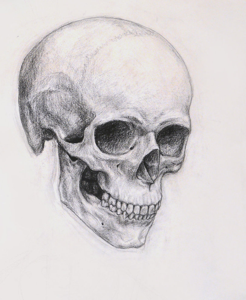 How-To-Draw-a-Skull-realistic-pencil-art-5
