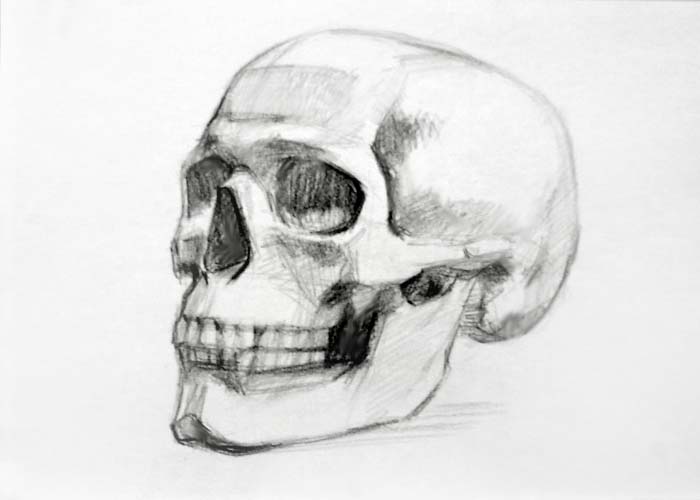 How-To-Draw-a-Skull-realistic-pencil-art-6