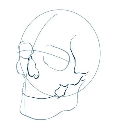 How-To-Draw-skull-human-step-1-3