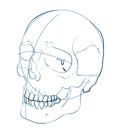 How-To-Draw-skull-human-step-1-3