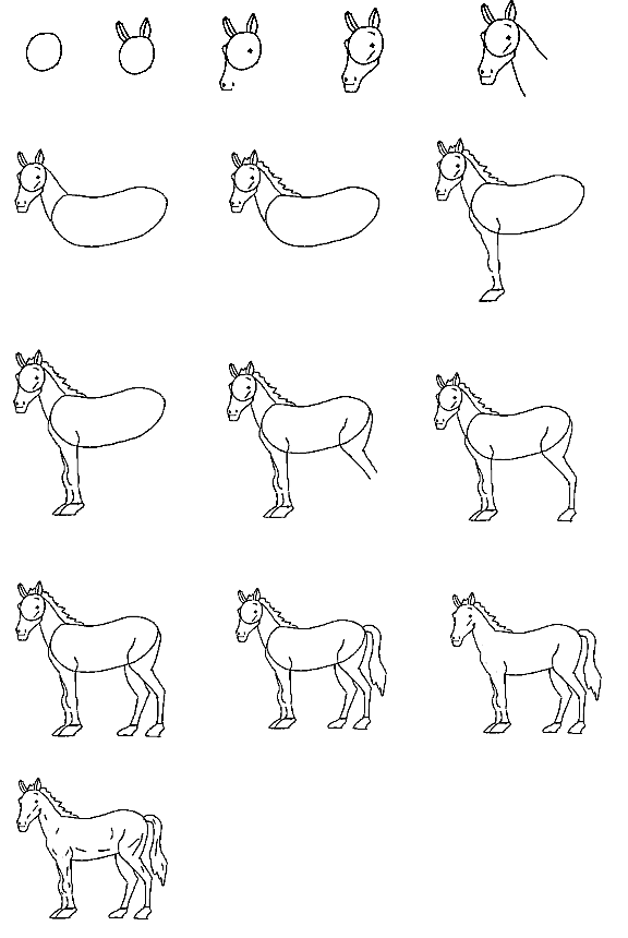 how-to-draw-horses-tutorials/draw-a-horse-step-by-step-books