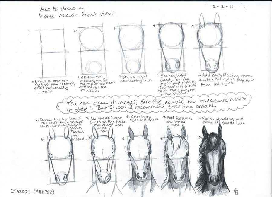 how-to-draw-horses-tutorials/draw-a-horse-step-by-step-books