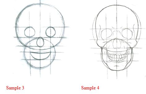 how-to-draw-human-skull-grid-step-q-and-step-2