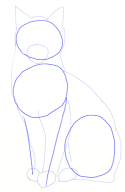 How to Draw a cat step by