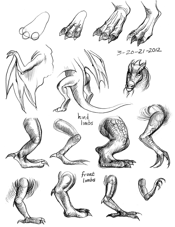 draw-dragon-legs-2