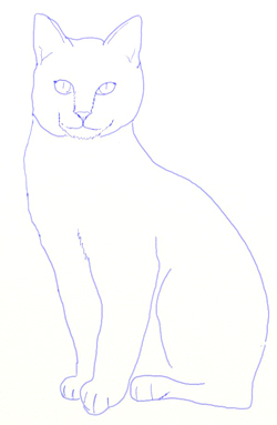 how-to-draw-realistic-cat-5