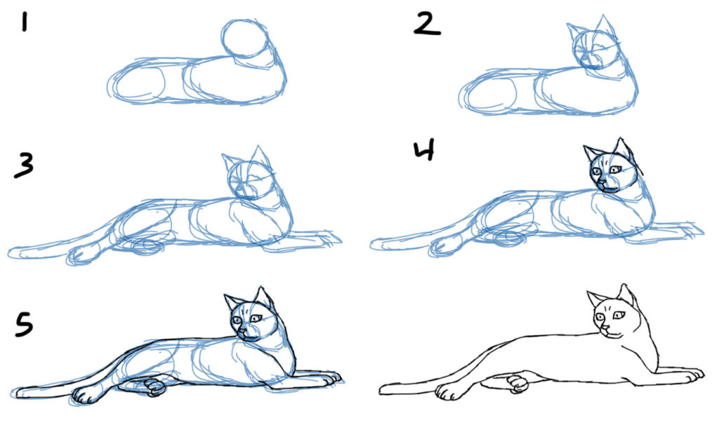 lesson-How to Draw a Cat Step By St