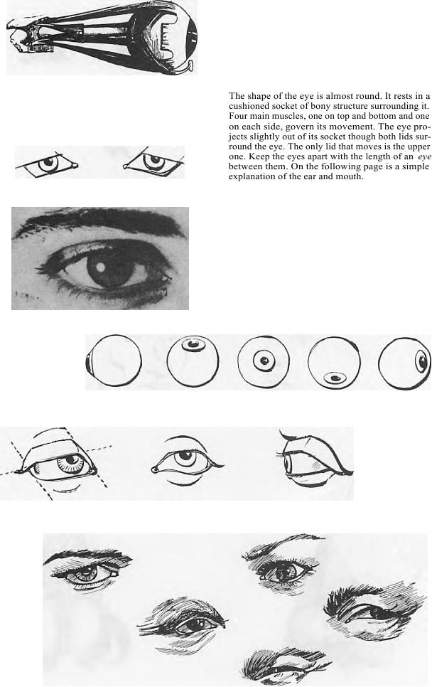 how-to-draw-womans-eyes-step-by-step-how-to-draw-a-eyes-and-eyebrows