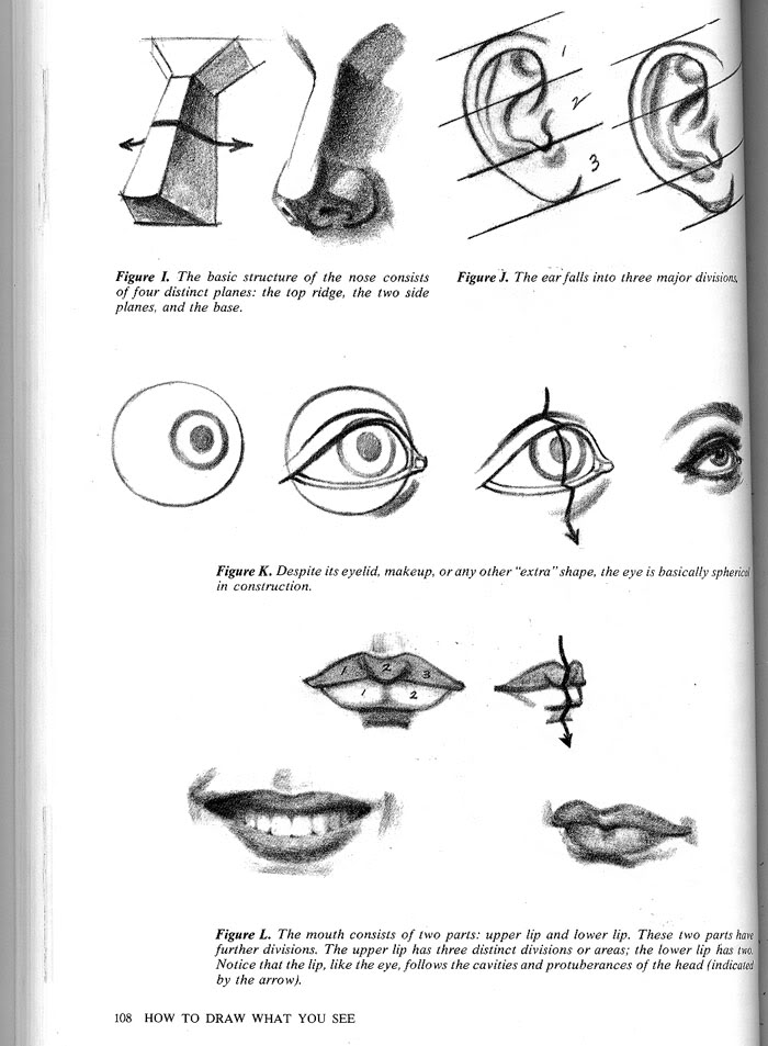 lips-How To Draw What you See