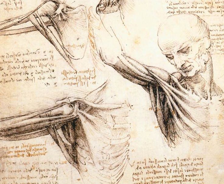sketches-Leonardo Da Vinci Drawings
