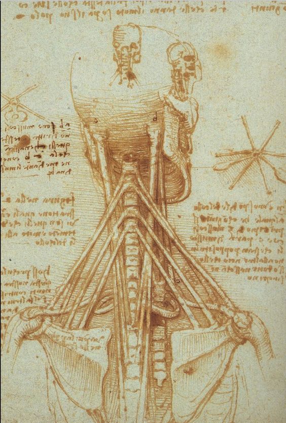 skulls-Leonardo Da Vinci Drawings