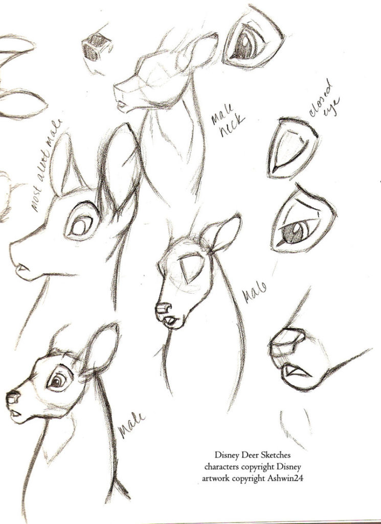 disney-deer-sketches-characters