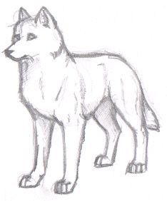 wolves-course_drawing-animals