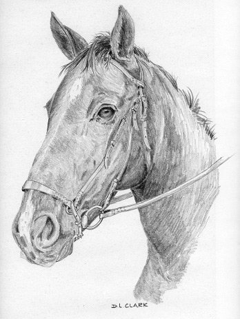 learn-to-draw-a-horse-learn-to-sketch