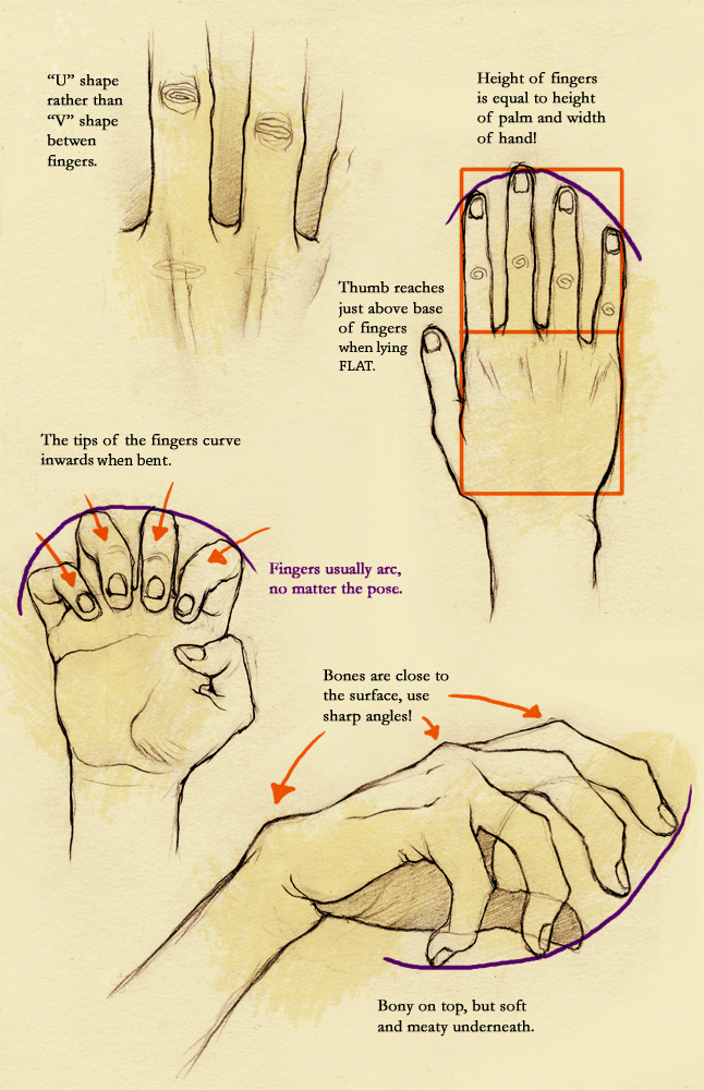 Anime Hands Tutorial