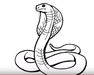Featured image of post The Best 20 Simple Snake Drawing Step By Step