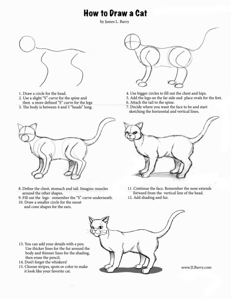 How To Draw Anything Step By Step | Online Drawing Lessons