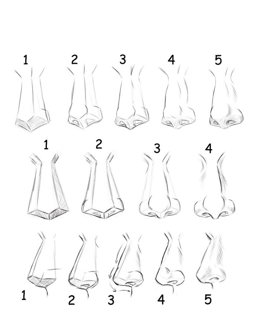 How To Draw A Female Nose Easy : How to draw a nose. - kanariyareon